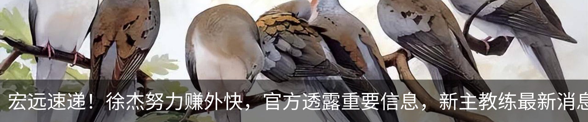 内页banner