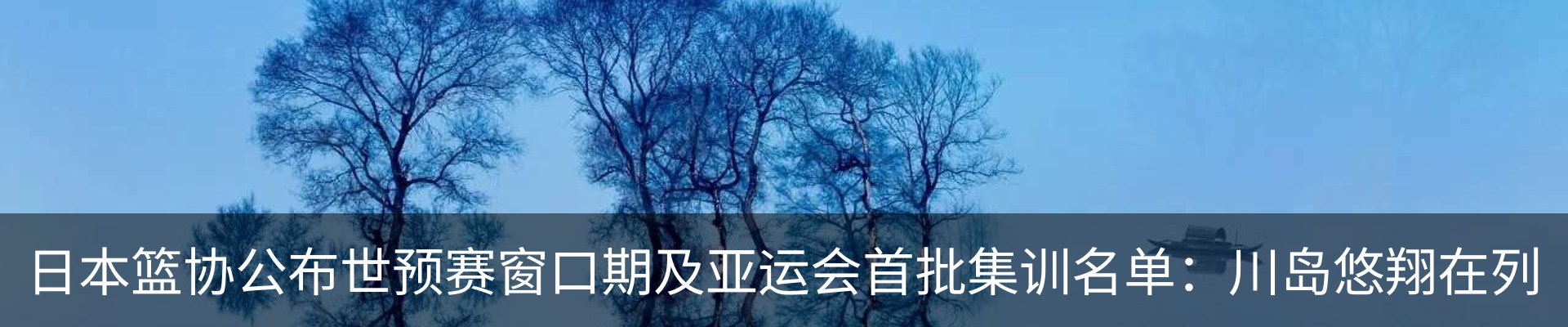 内页banner