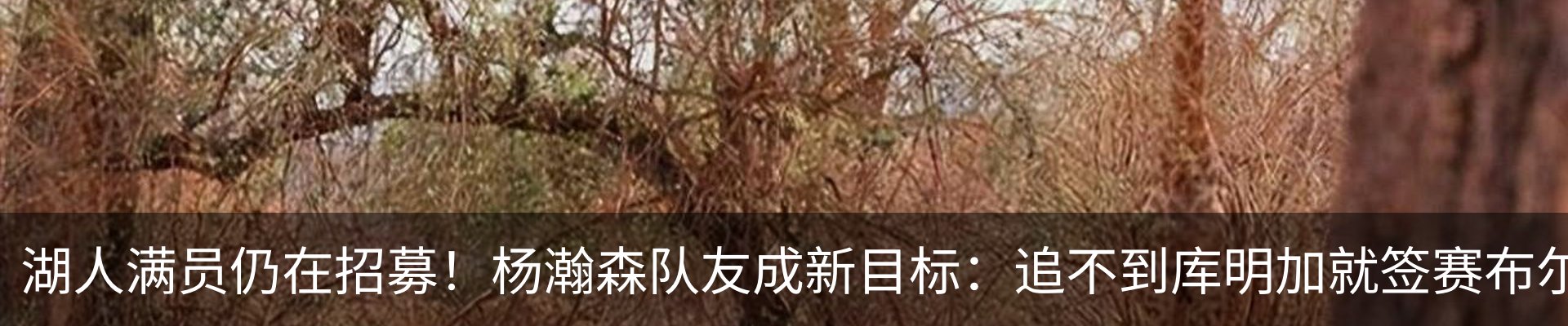 内页banner