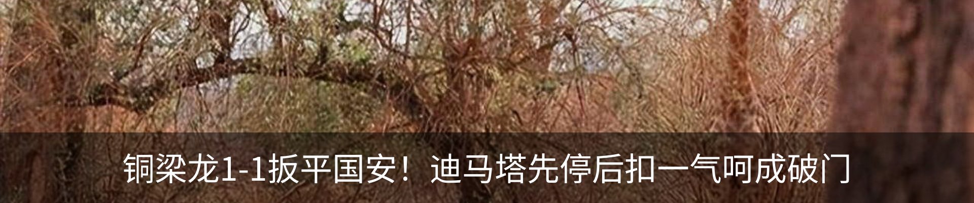 内页banner